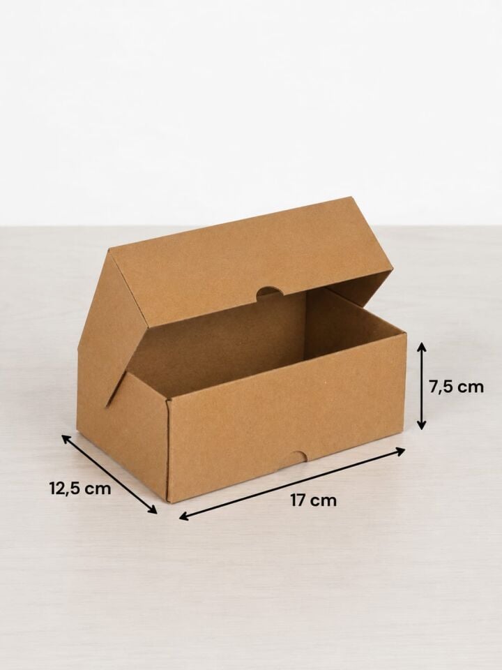 17x12,5x7,5 Cm Kilitli E-Ticaret Kargo Kutusu