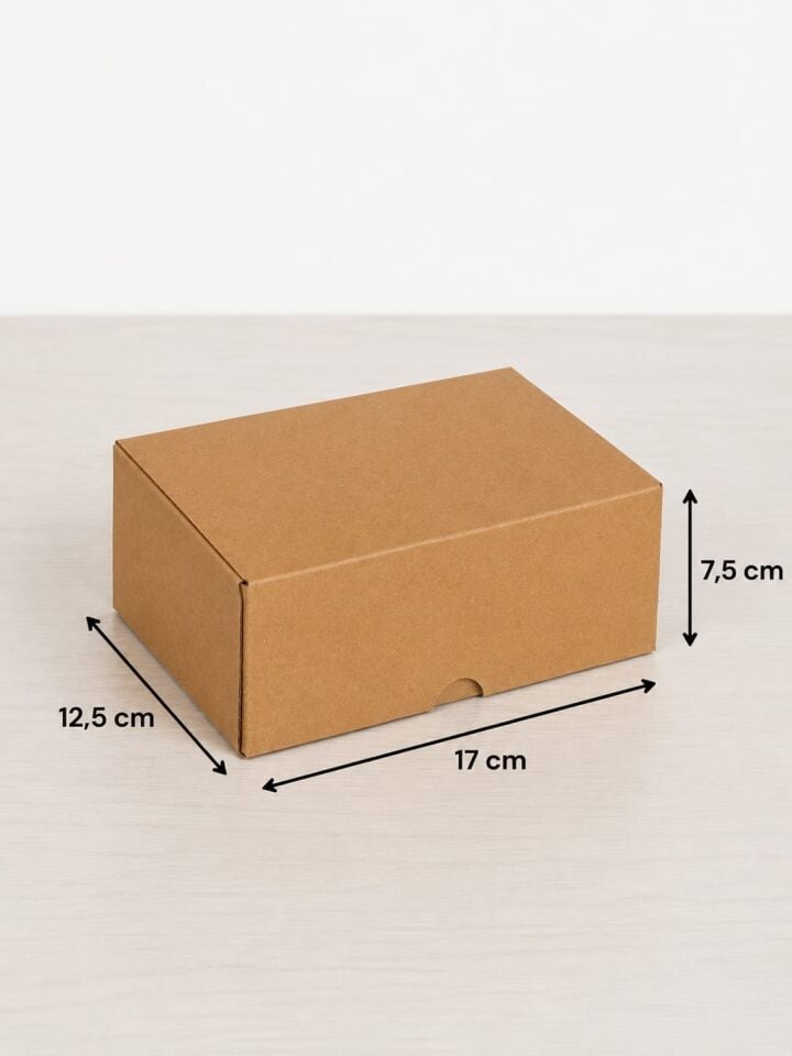 17x12,5x7,5 Cm Kilitli E-Ticaret Kargo Kutusu