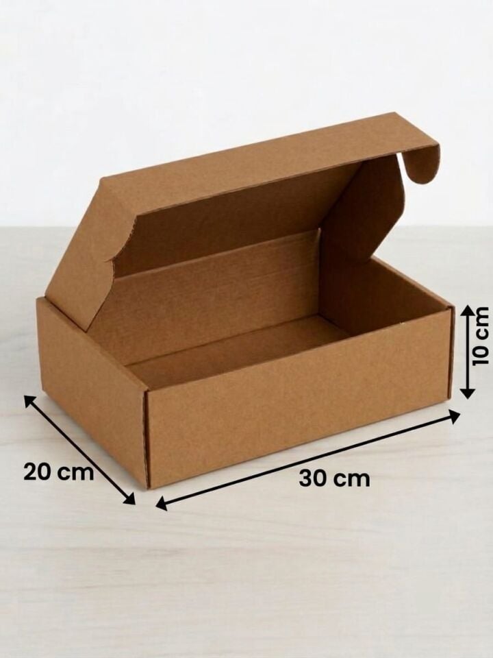 30x20x10 Cm Kilitli E-Ticaret Kargo Kutusu