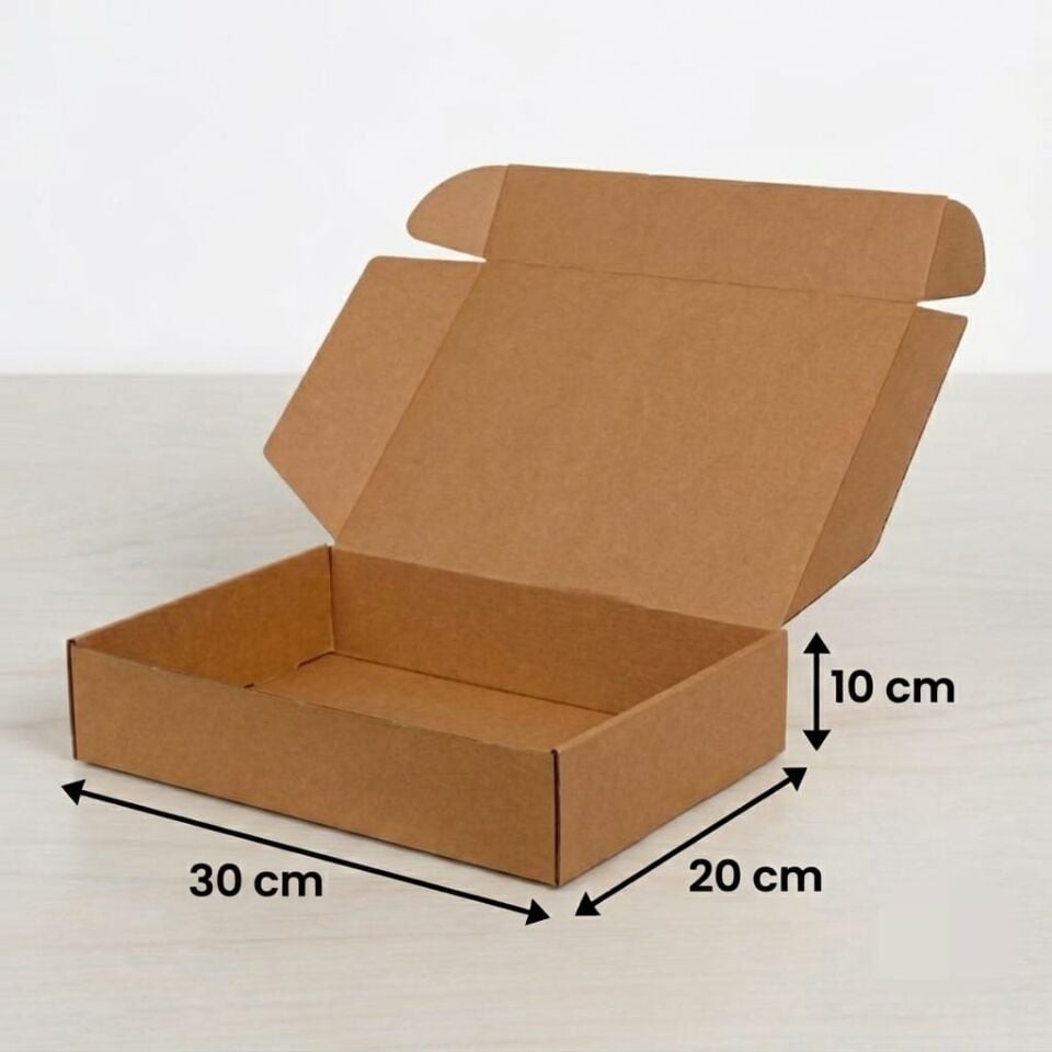 30x20x10 Cm Kilitli E-Ticaret Kargo Kutusu