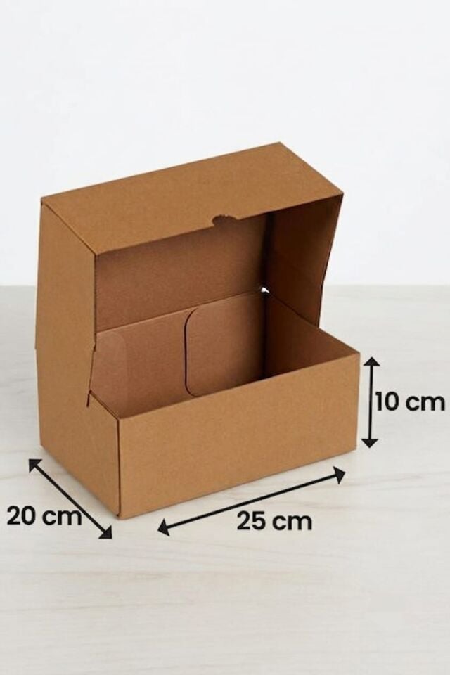 25x20x10 Cm Kilitli E-Ticaret Kargo Kutusu